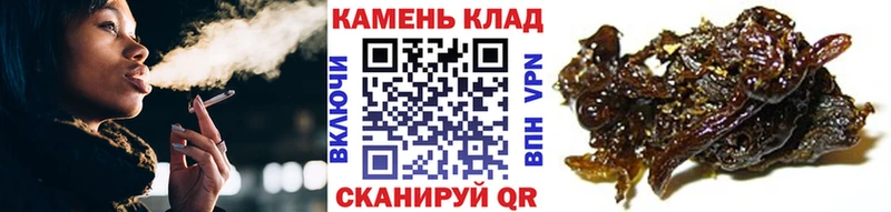 ГАШИШ индика сатива  Купить закладки  Коряжма 