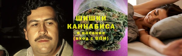 сатива Вяземский