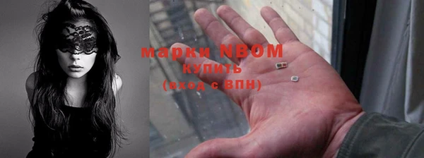 сатива Вяземский