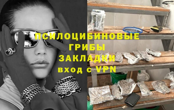 сатива Вяземский