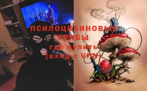сатива Вяземский