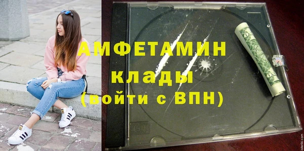 сатива Вяземский