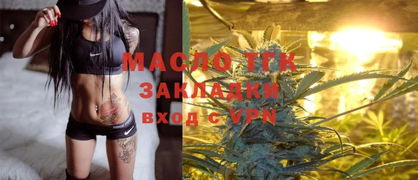 сатива Вяземский