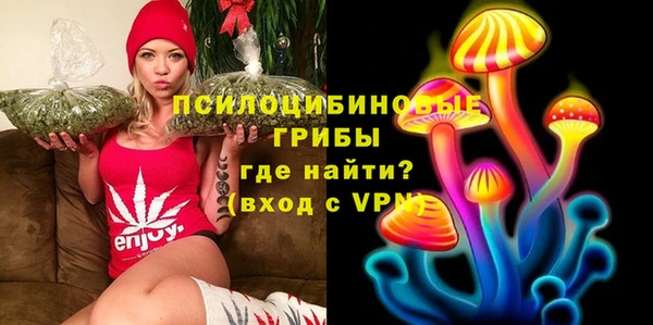 сатива Вяземский