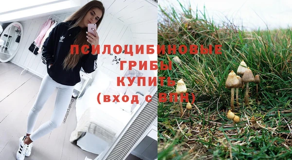 первитин Вязьма