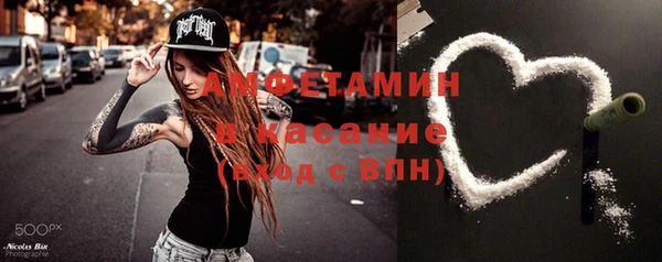 сатива Вяземский