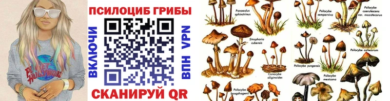 Купить закладки  Коряжма  Псилоцибиновые грибы ЛСД 